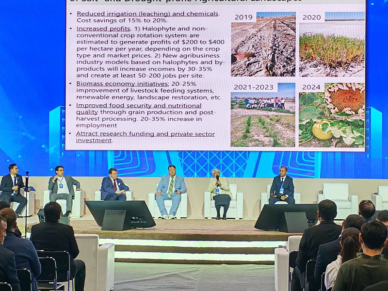 Сотрудники АО «Узбекэкспертиза» приняли участие  в Международной неделе инновационных идей &quot;InnoWeek-2025&quot;